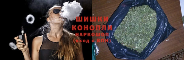 индика Кинешма