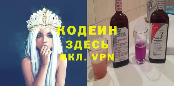 индика Кинешма