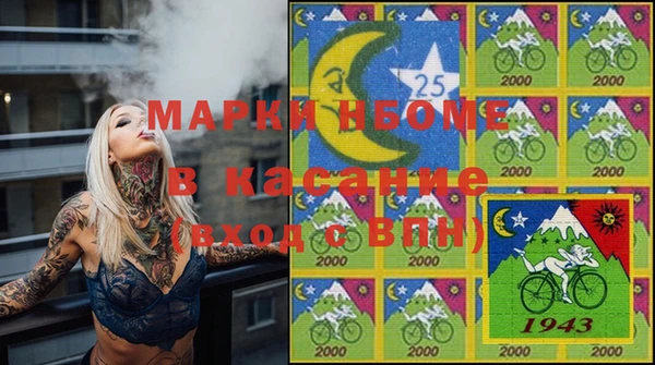 индика Кинешма