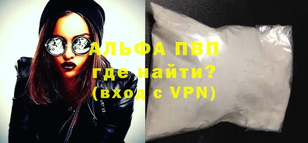индика Кинешма