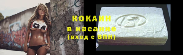 индика Кинешма