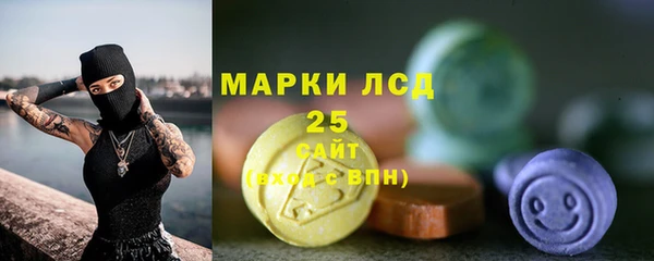 индика Кинешма
