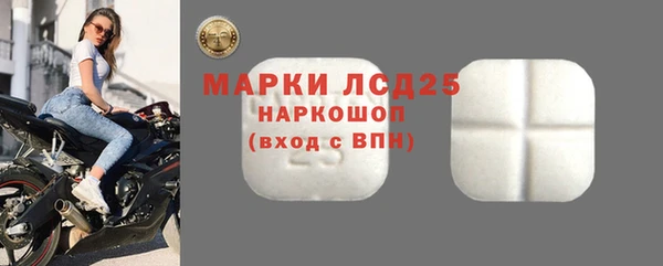 индика Кинешма