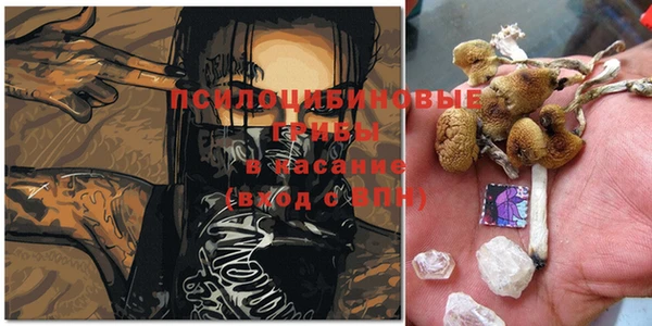 спайс Киренск