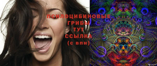 спайс Киренск