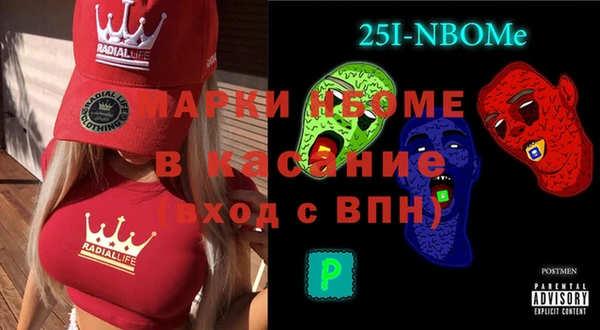 индика Кинешма