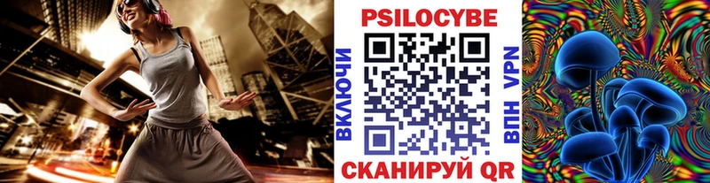 Купить  Мурино  Псилоцибиновые грибы Psilocybe 